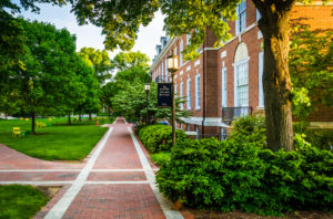 College application essay pay john hopkins