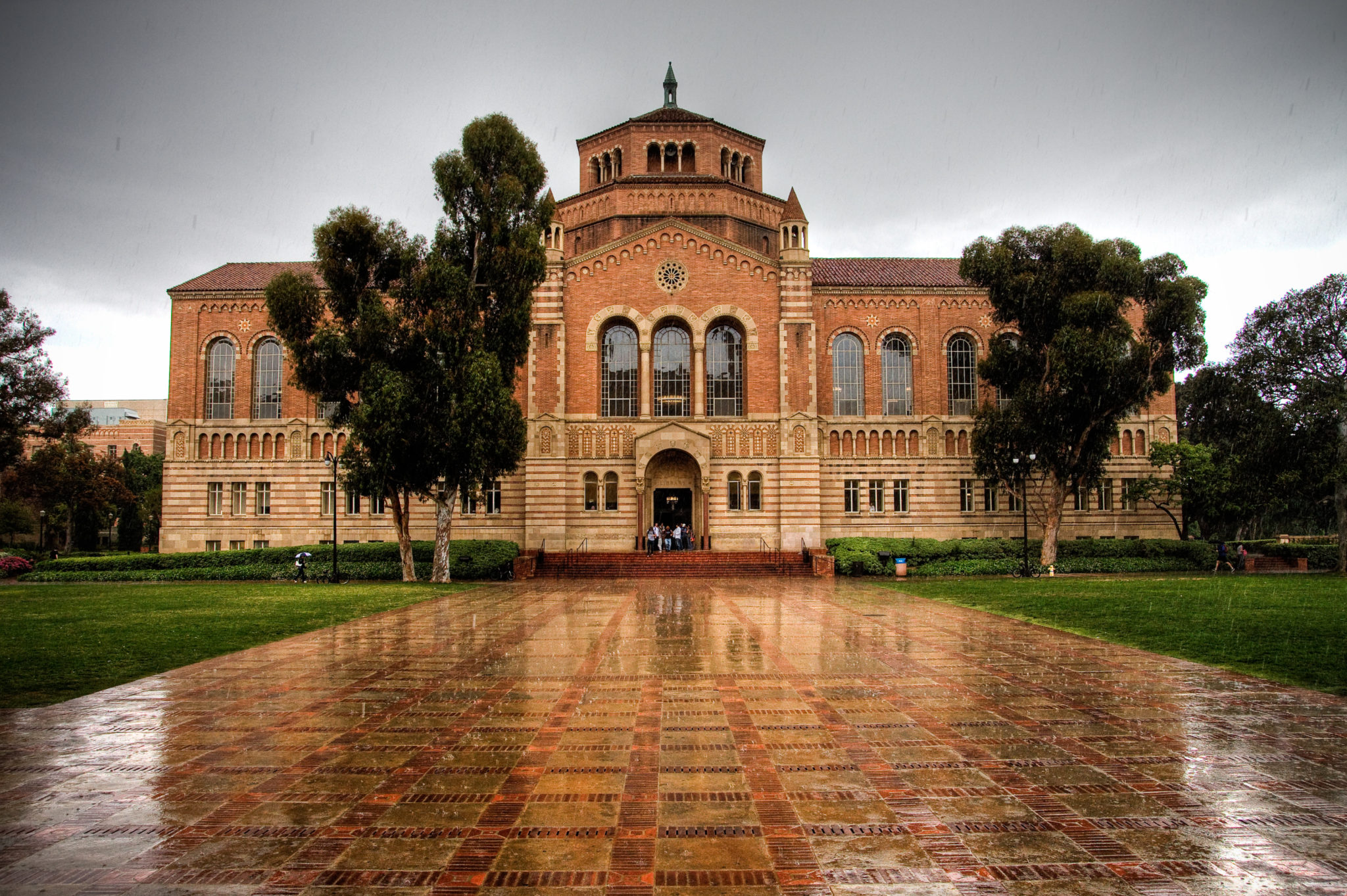 Ucla Psychology Major Acceptance Rate